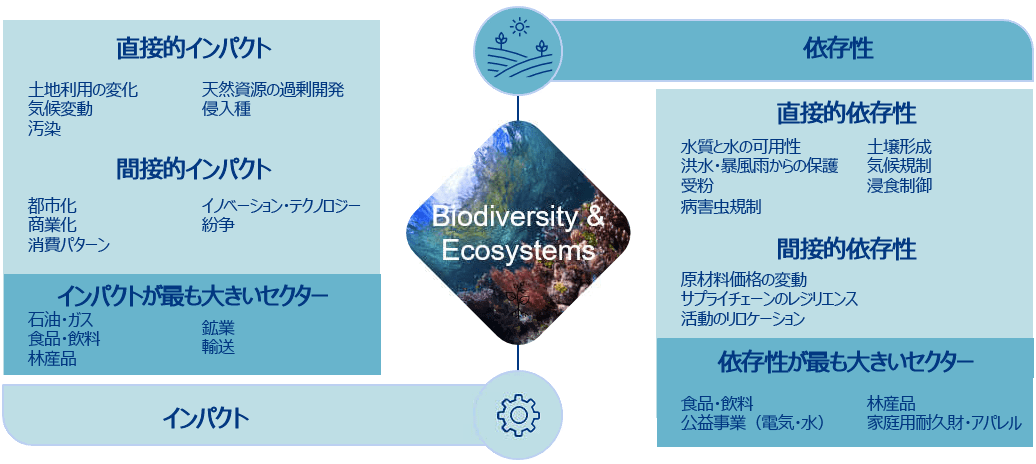 生物多様性関連リスクの二重の重要性
