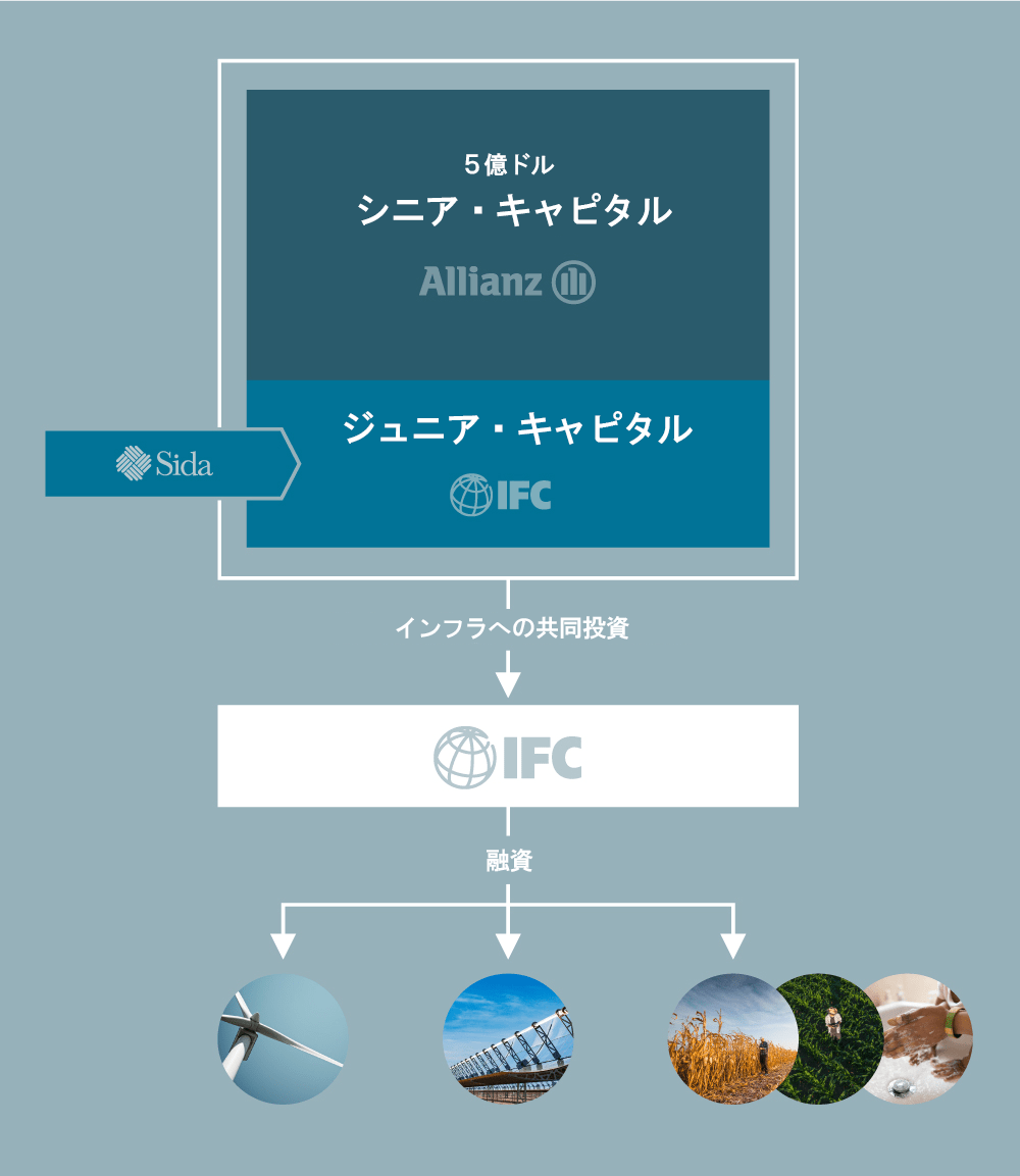 IFC Case Study - Partnership