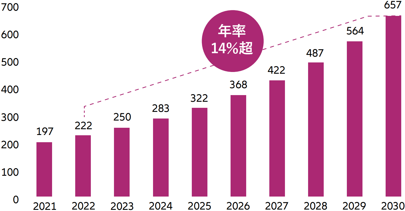 Cyber security market revenue (2021-2030; USD billions)