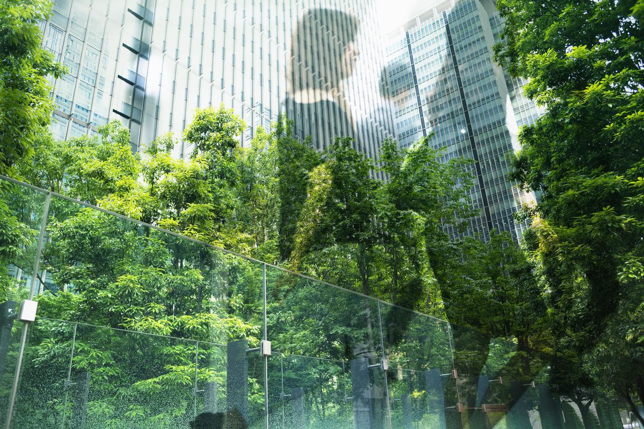 climate-projects