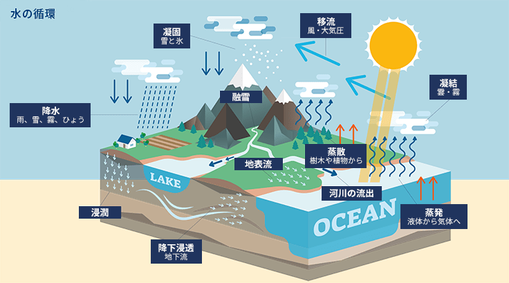 水の循環