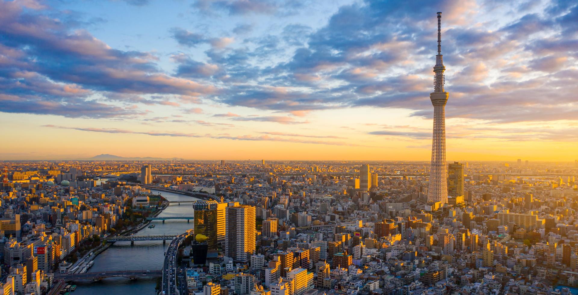 Cityscape aerial drone view of Tokyo at sunrise