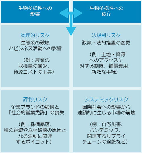 図表1：生物多様性関連リスクのダブルマテリアリティ